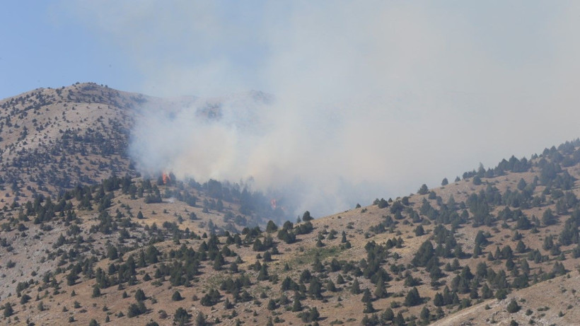 Kahramanmaraş’ta orman yangını - Resim: 5