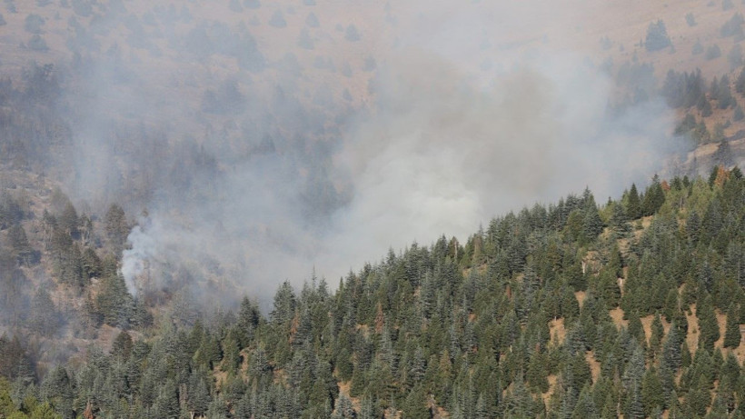Kahramanmaraş’ta orman yangını - Resim: 6