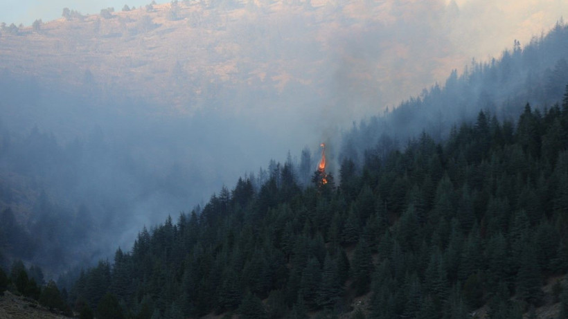 Kahramanmaraş’ta orman yangını - Resim: 7