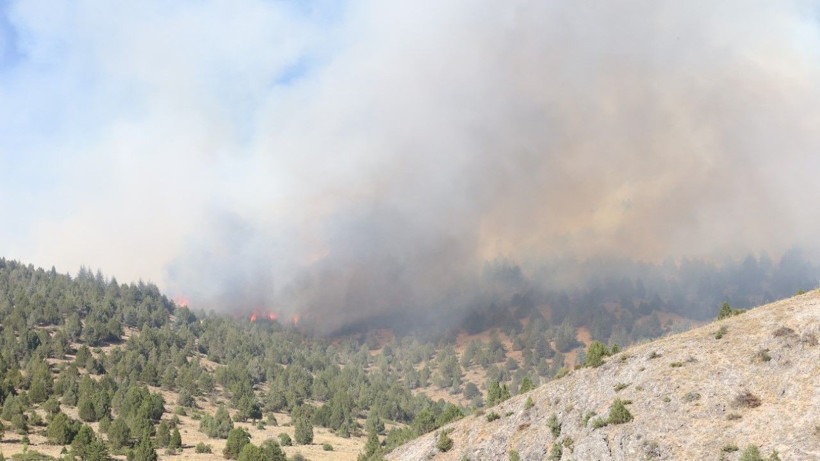 Kahramanmaraş’ta orman yangını - Resim: 9