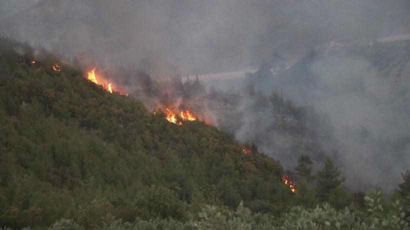 Bir orman yangını da Hatay'da - Resim: 5