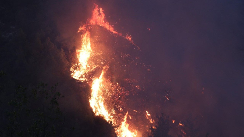 Bir orman yangını da Hatay'da - Resim: 6