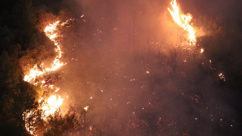 Bir orman yangını da Hatay'da - Resim: 7