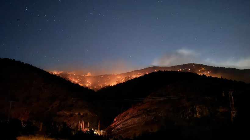 Kahramanmaraş’ta orman yangını - Resim: 1