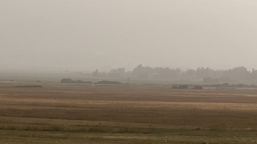 Irak ve Suriye’den geldi, ilçeyi esir aldı - Resim: 10