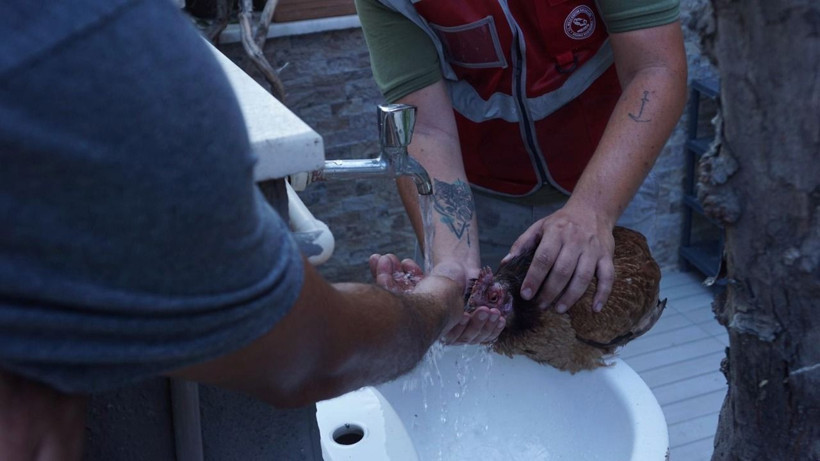Çanakkale'de tüyler ürperten görüntüler - Resim: 20