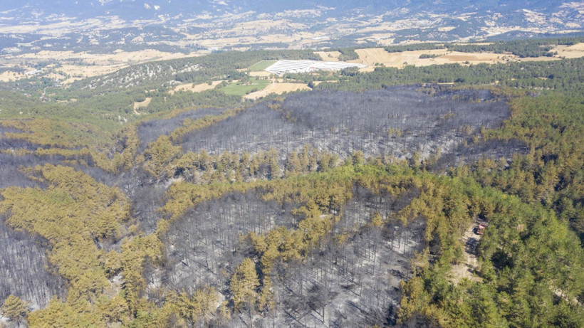 Cebimiz de yanıyor: Sadece bir hektarın maliyeti 600 bin lira - Resim: 6