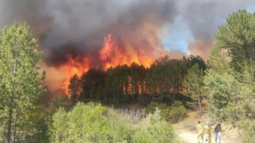 Cebimiz de yanıyor: Sadece bir hektarın maliyeti 600 bin lira - Resim: 11