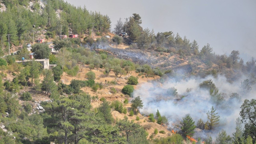 Mersin'de orman yangını - Resim: 2