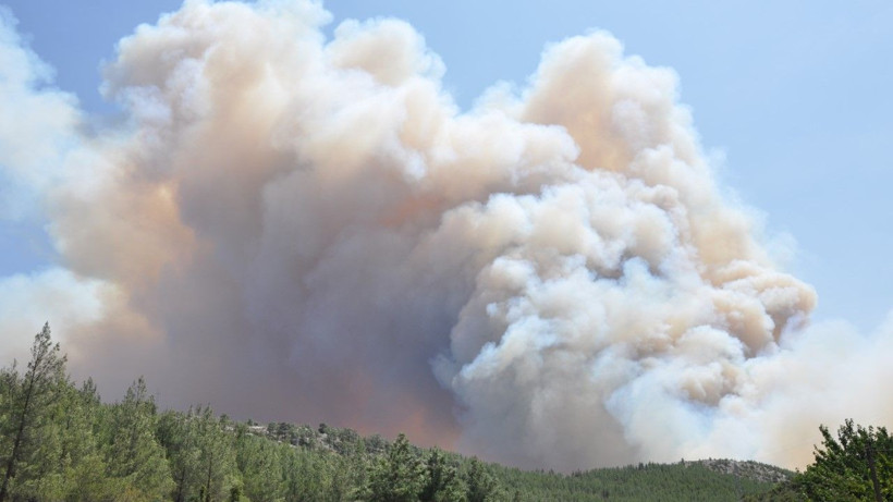 Mersin'de orman yangını - Resim: 4