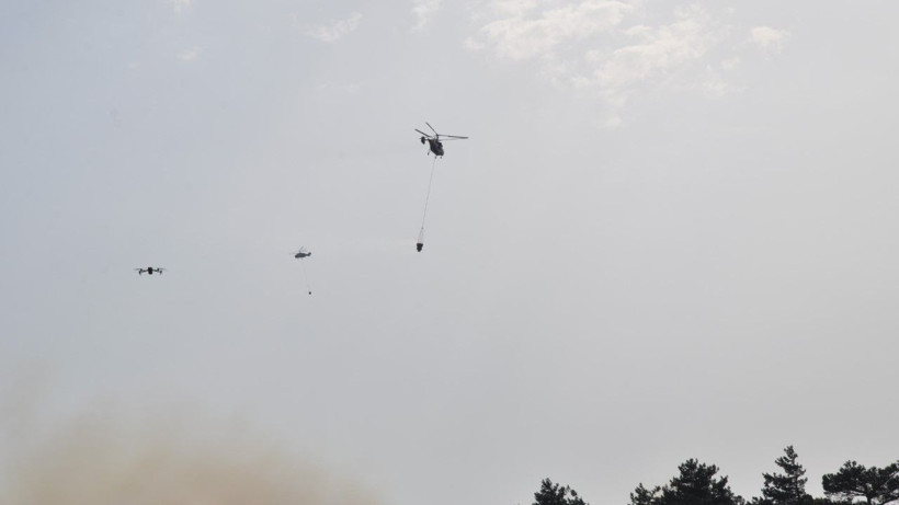 Mersin'de orman yangını - Resim: 5