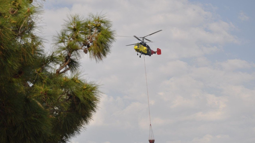 Mersin'de orman yangını - Resim: 7