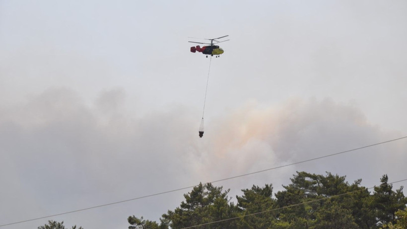 Mersin'de orman yangını - Resim: 8