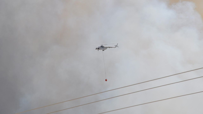 Mersin'de orman yangını - Resim: 9