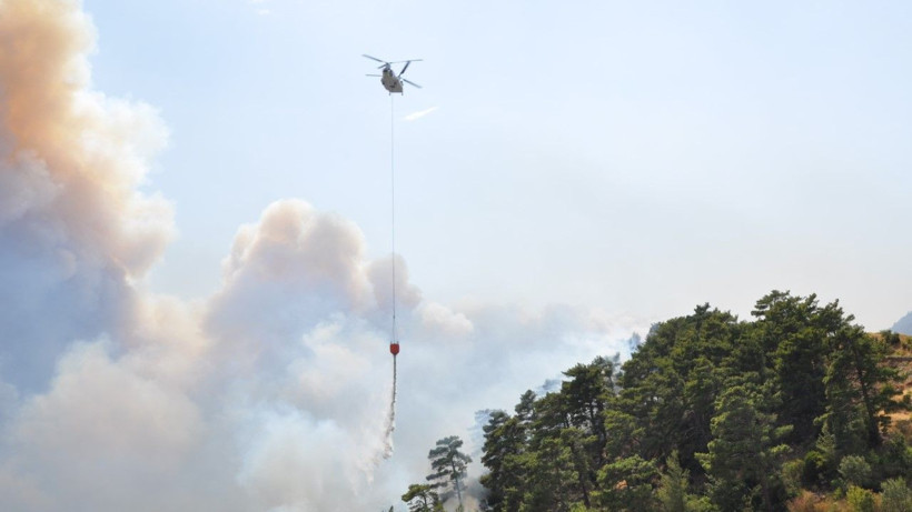 Mersin'de orman yangını - Resim: 11