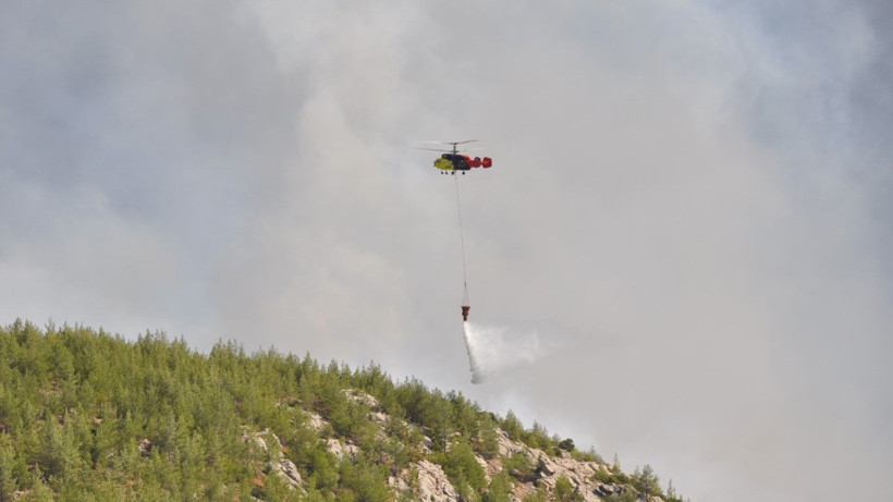 Mersin'de orman yangını - Resim: 13