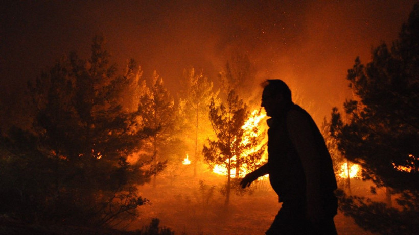Mersin'de orman yangını - Resim: 14