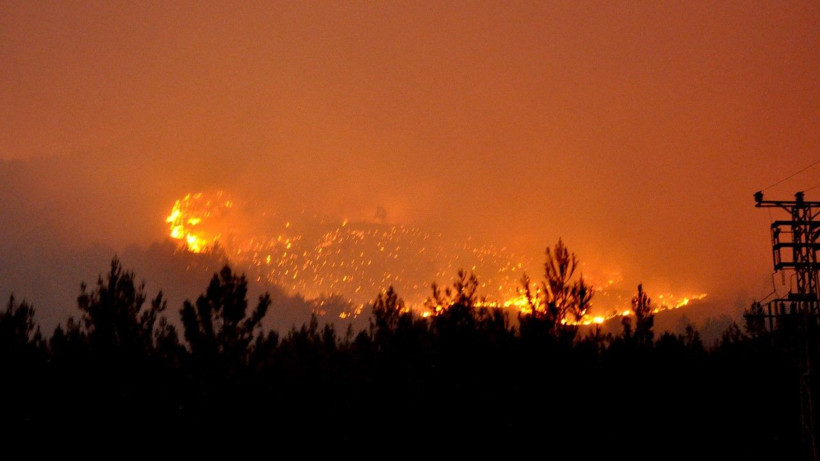 Mersin'de orman yangını - Resim: 16