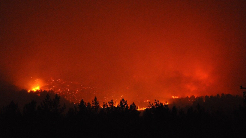 Mersin'de orman yangını - Resim: 18