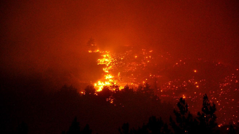 Mersin'de orman yangını - Resim: 19