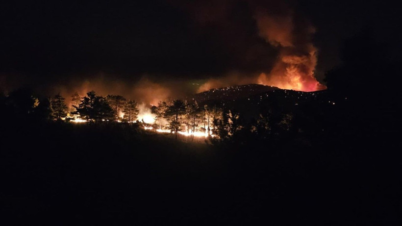 Mersin'de orman yangını - Resim: 20