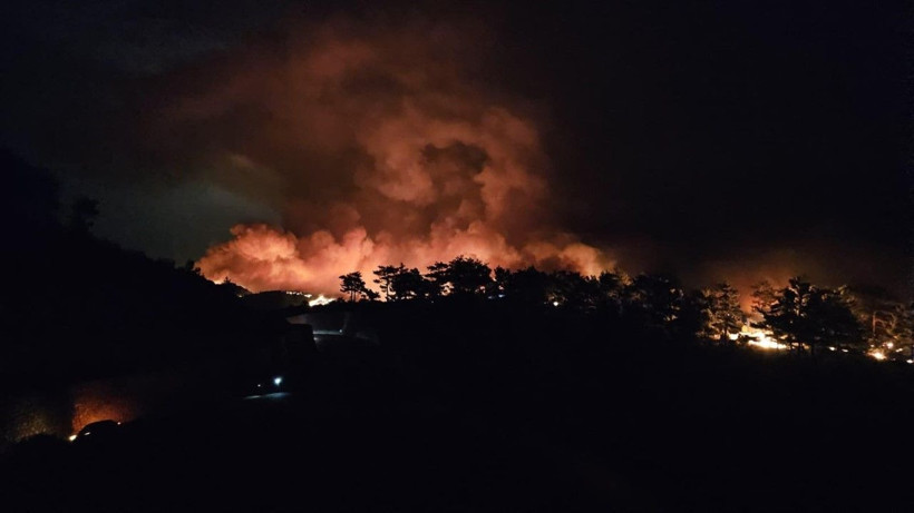 Mersin'de orman yangını - Resim: 21