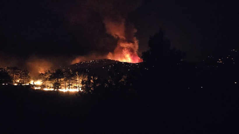 Mersin'de orman yangını - Resim: 22