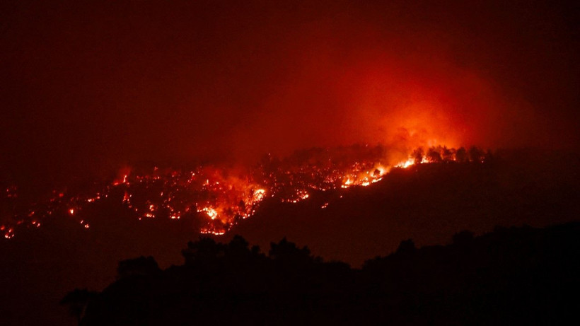 Mersin'de orman yangını - Resim: 23