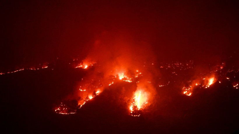 Mersin'de orman yangını - Resim: 25