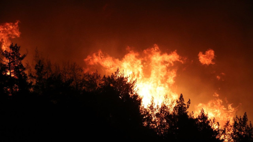 Suriye’deki yangın Türkiye’ye sıçradı - Resim: 12