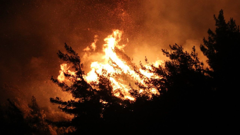 Suriye’deki yangın Türkiye’ye sıçradı - Resim: 14