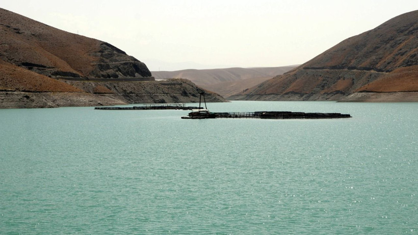 Van'da barajlar alarm veriyor: Alabalık tesisi yok olmak üzere - Resim: 6