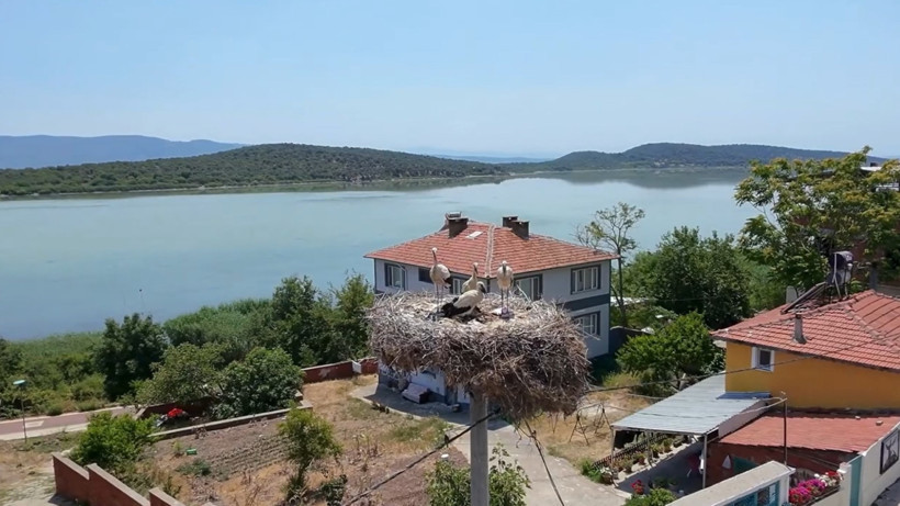 Yaren Leylek’in yavrularından biri Mısır’da, diğeri Batı Şeria’da - Resim : 4