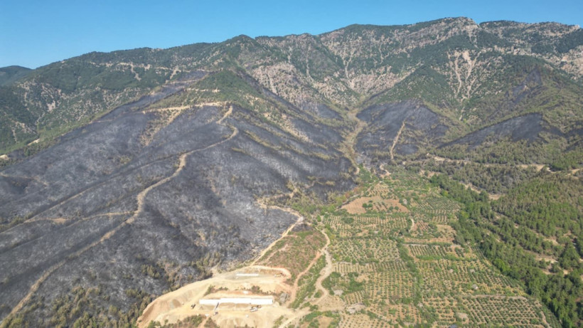 Hatay'da yangınlar söndü, geriye acı görüntüler kaldı - Resim: 1