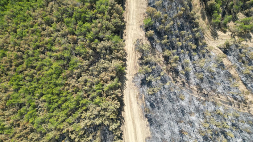 Hatay'da yangınlar söndü, geriye acı görüntüler kaldı - Resim: 3