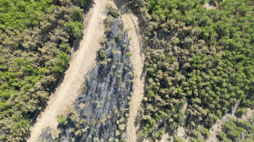 Hatay'da yangınlar söndü, geriye acı görüntüler kaldı - Resim: 4