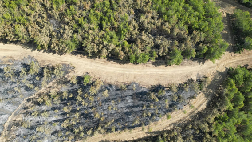 Hatay'da yangınlar söndü, geriye acı görüntüler kaldı - Resim: 5