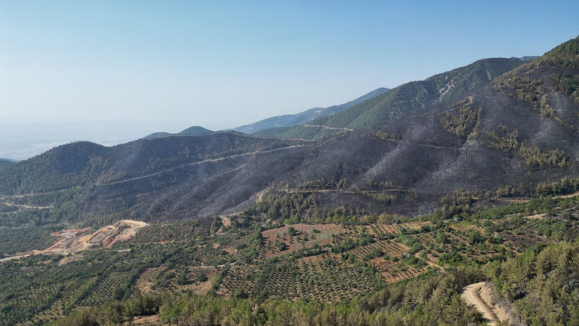 Hatay'da yangınlar söndü, geriye acı görüntüler kaldı - Resim: 6