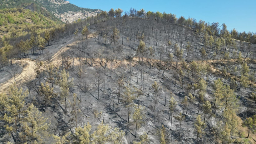 Hatay'da yangınlar söndü, geriye acı görüntüler kaldı - Resim: 8