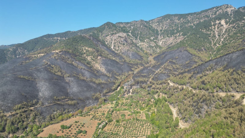 Hatay'da yangınlar söndü, geriye acı görüntüler kaldı - Resim: 10