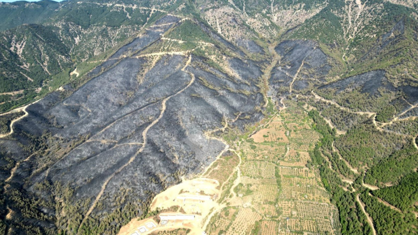 Hatay'da yangınlar söndü, geriye acı görüntüler kaldı - Resim: 13