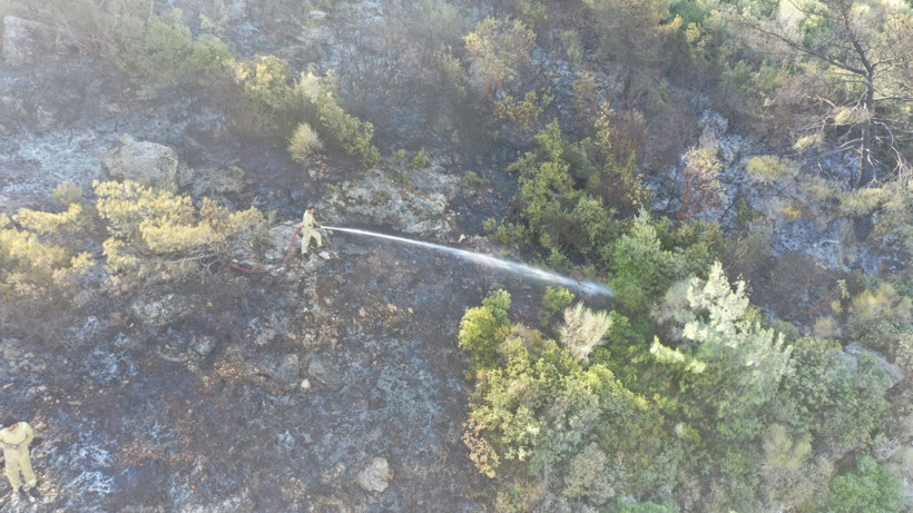 Hatay'da yangınlar söndü, geriye acı görüntüler kaldı - Resim: 15