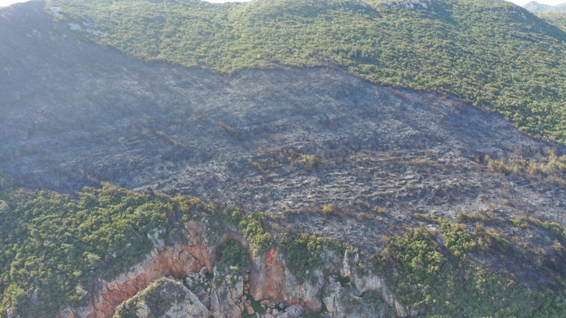 Hatay'da yangınlar söndü, geriye acı görüntüler kaldı - Resim: 17