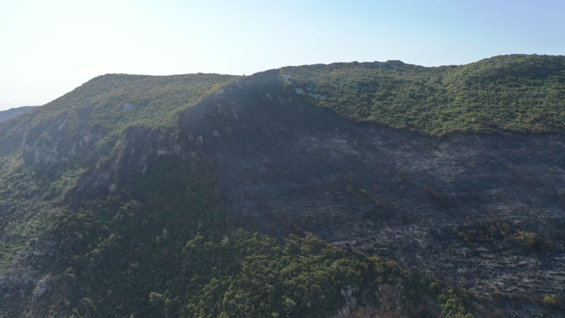 Hatay'da yangınlar söndü, geriye acı görüntüler kaldı - Resim: 18