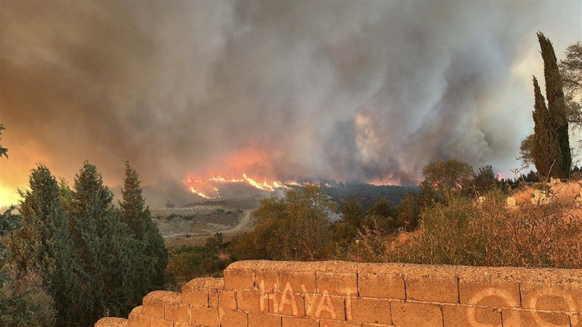 Çanakkale Gelibolu'da orman yangını: Hızla büyüdü - Resim: 18