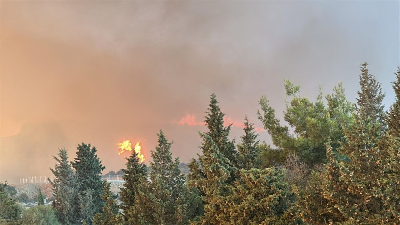 Çanakkale Gelibolu'da orman yangını: Hızla büyüdü - Resim: 20