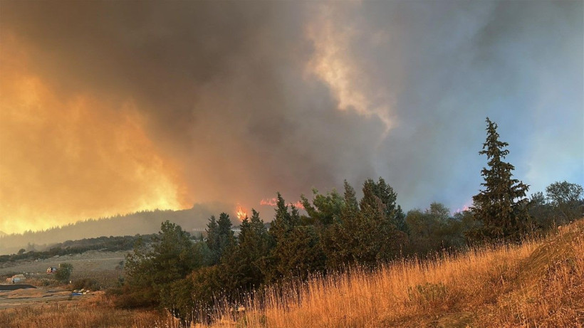 Çanakkale Gelibolu'da orman yangını: Hızla büyüdü - Resim: 21