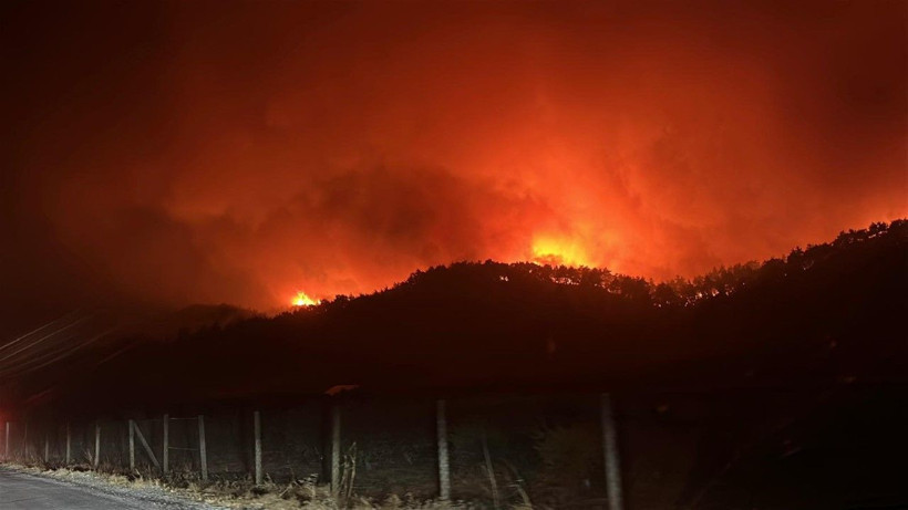 Çanakkale Gelibolu'da orman yangını: Hızla büyüdü - Resim: 28
