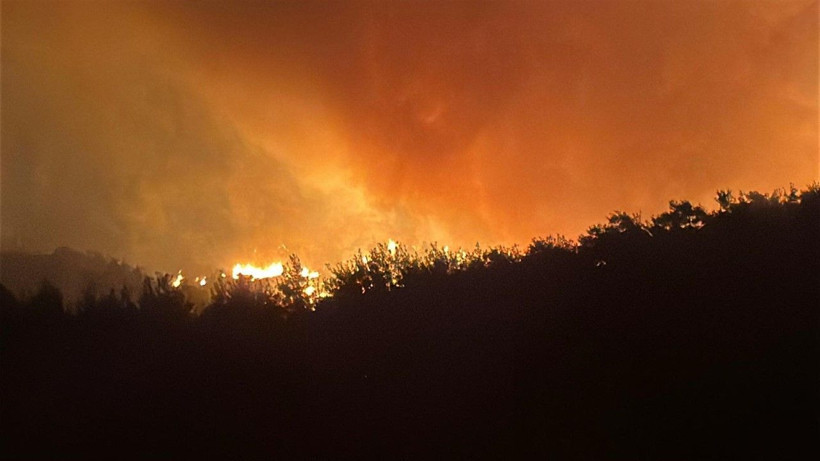 Çanakkale Gelibolu'da orman yangını: Hızla büyüdü - Resim: 29