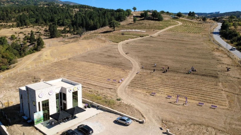 Soğanlar toprakla buluştu! Kilosu 450 bin TL - Resim: 14